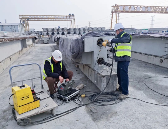 1739842025222264.jpg 02.jpg